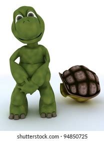 85 Naked Turtle Royalty Free Images Stock Photos Pictures Shutterstock