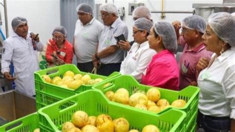 Nueva Planta De Procesamiento De Jugos Y Pulpas En Tarapoto Abre Las