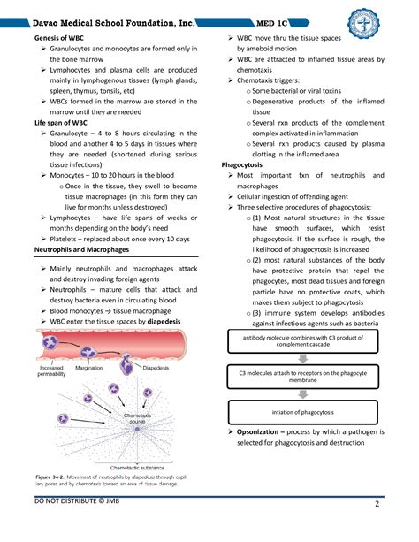 SOLUTION Basic Immunology Lecture Notes Studypool