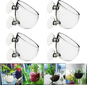 Nizirioo Lot De Pots En Verre Pour Plantes Aquatiques Avec