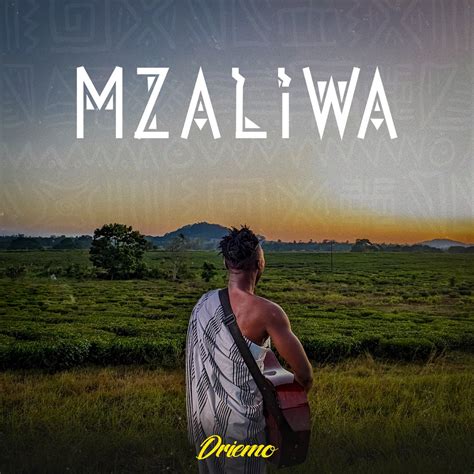 Mzaliwa Album By Driemo Mw Apple Music