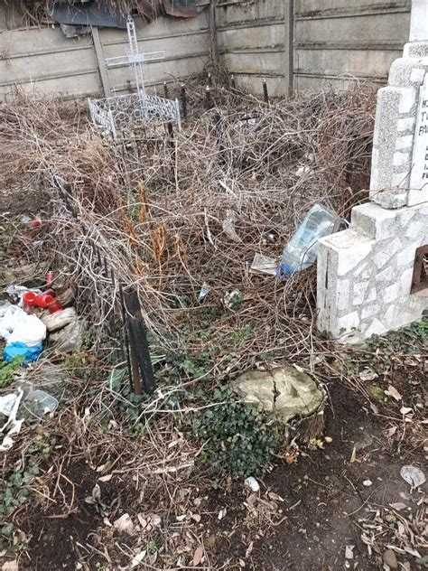 Un ploieștean reclamă mizeria din cimitirul Bolovani Galerie FOTO