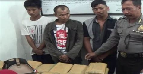 Polisi Gagalkan Penyelundupan Kg Ganja Asal Aceh Kurir Ditangkap