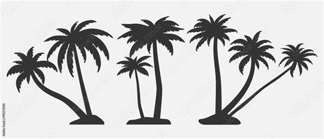 Tropical Trees For Design About Nature Set Of Palm Trees Silhouettes