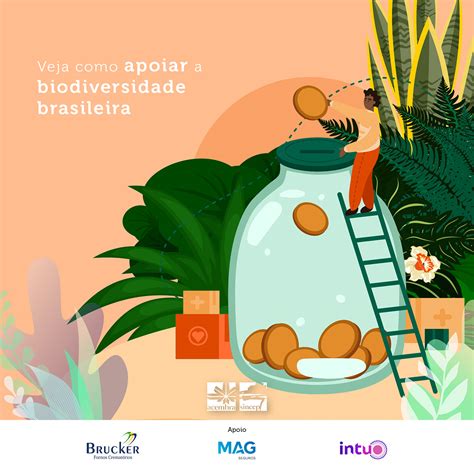 Jul Biodiversidade Brasileira Acembra Sincep News