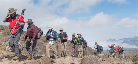 8 Days Lemosho Route Climbing Mount Kilimanjaro