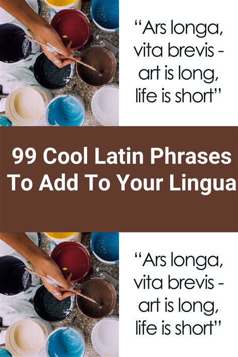 Latin Phrases to Add to Your Vocabulary