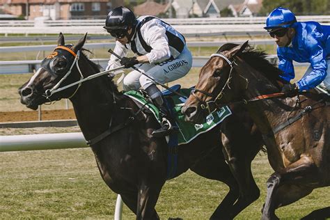 Gary Harley Last Word Newcastle Racecourse