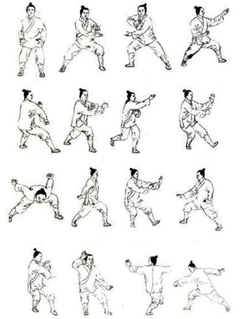 Wudang Kung Fu Styles