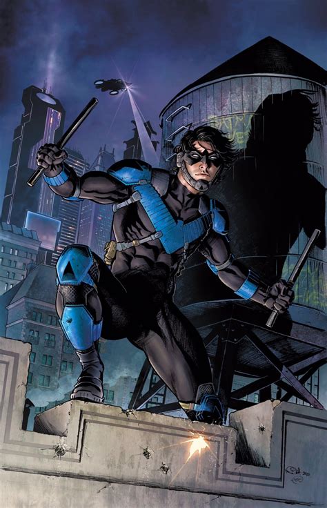 Realistic Nightwing Costume