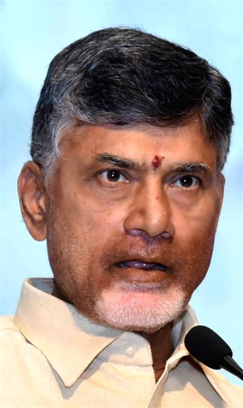 File Photo Andhra Pradesh Chief Minister N Chandrababu Naidu