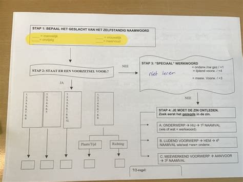 Kaarten NAAMVALLEN STAPPENPLAN HAVO 3 Quizlet