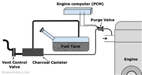 Ford Ranger L X Evap System Diagram