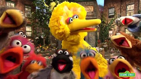 Sesame Street Big Bird Sings That S Cooperation Video Dailymotion