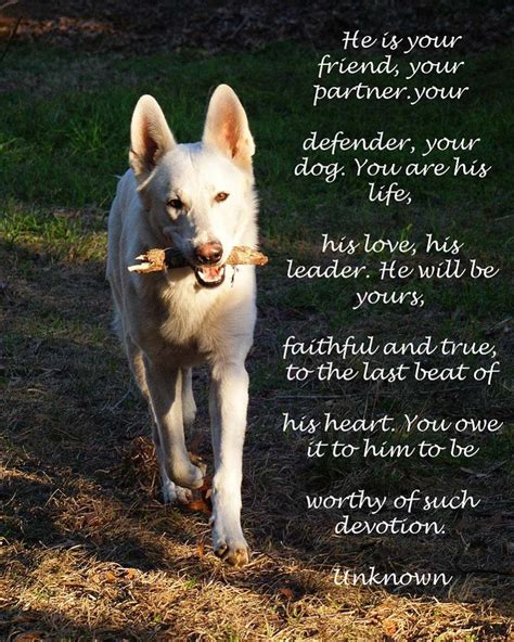 A Dog Poem I Hope You Feel This Way About Your Dog I Feel This Way