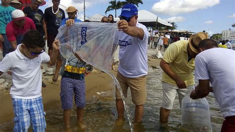 Codevasf Realiza Peixamento E Fornece Mudas No Munic Pio De Est Ncia