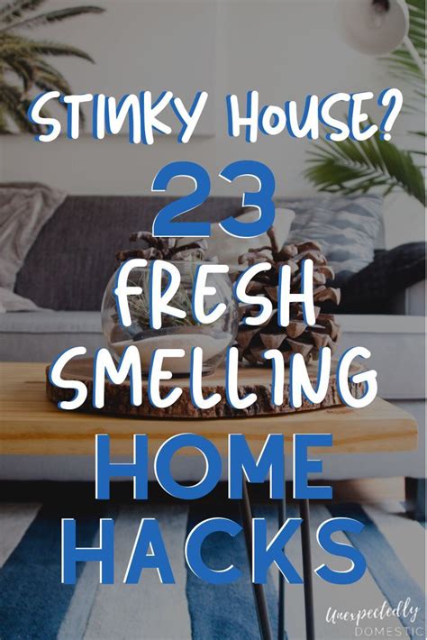 How To Keep Your House Smelling Good Always 23 Genius Hacks House