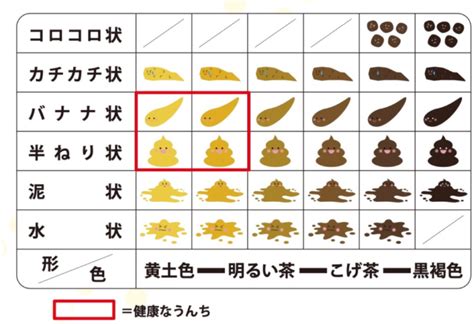 腸年齢の簡単なチェック方法と健康なうんちの色 【サプリメントの教科書】効果が出るサプリの飲み方をアクセス数日本一のサプリソムリエが教えます！！