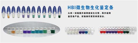 Hbi肠杆菌科细菌生化鉴定条gb价格详情介绍 960化工网 960化工网