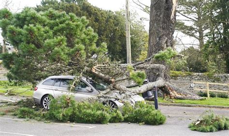 Storm Eunice damage in pictures: Cars crushed & trees ripped from roots ...