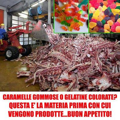 Sai Come Vengono Prodotte Le Caramelle Gommose E Gelatine Colorate