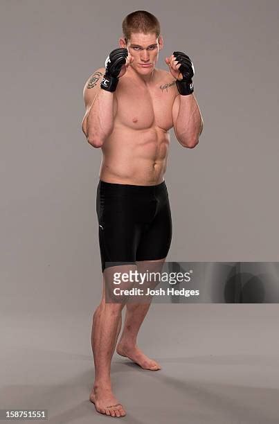 72 Todd Duffee Ufc Portraits Stock Photos, High-Res Pictures, and ...