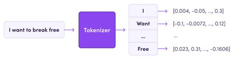 Tokenizer Tokenization