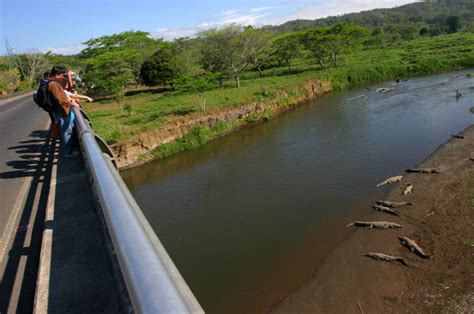 The Crocodile Bridge in Costa Rica | Costa Rica Holiday