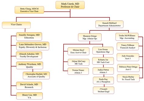 Organizational Chart School Of Medicine