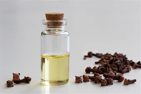 Clove Oil for Toothache Pain | Oral Care