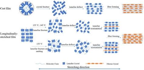 Structural Evolution Of Biaxially Oriented Polypropylene Films Upon