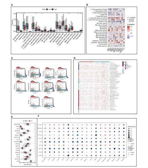 Analysis Of Immune Cell Content And Immune Checkpoint A Evaluating