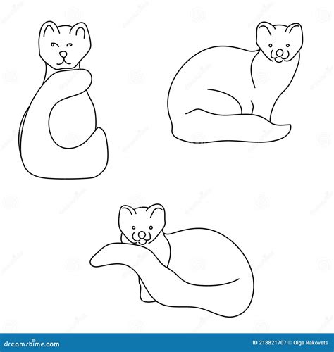 sables as pets 6