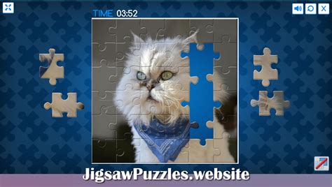 Jigsaw Puzzles Game 2 - 13 Cats Jigsaw Puzzles | JigsawPuzzles.website