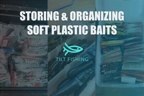 5 Soft Plastic Bait Storage Ideas – Tilt Fishing