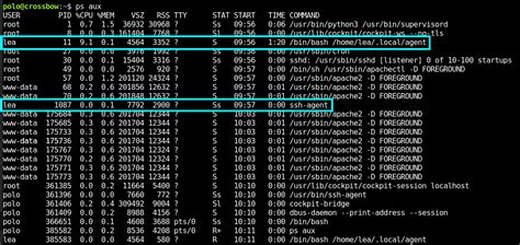 Crossbow Hackmyvm 0xH3rshel 0xH3rshel S Blog