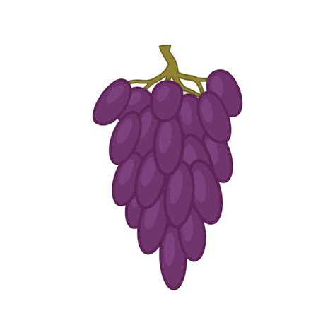 Ilustraci N De Uvas Moradas Sobre Un Fondo Blanco Las Uvas Moradas