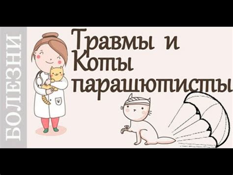Травмы животных.Советует #ветеринар - YouTube