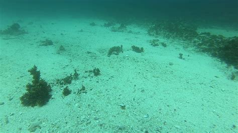 Douglas Shoal Sediment Sampling Panorama Video A Gh