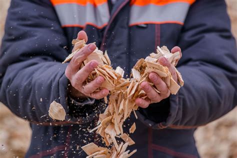 Wood chipping and mulching Geelong & Surf Coast - Tree Division