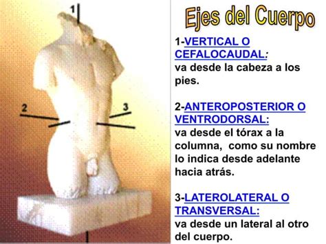 Clase Ejes Planos Y Cavidades PPT