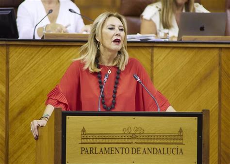 Pp A Aprueba En Solitario En El Parlamento Andaluz La Ley Que Crea Los