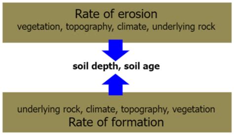 Lecture 10 Soil Organic Matter Soil Structure Flashcards Quizlet