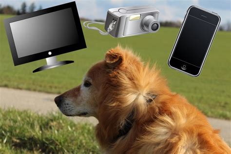 Digital Dogs - Wufflog