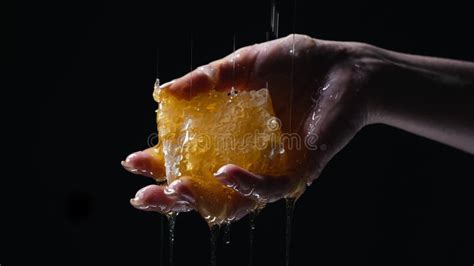 Raw Honeycomb Dripping Pure Golden Honey Elixir Amazing Tasty Flow