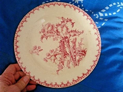 Superbe Et Ancienne Assiette Terre De Fer Gien Decor Chardon Eur