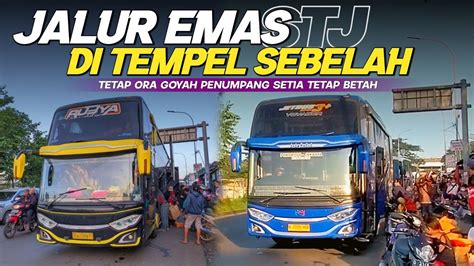 Jalur Emas Stj Di Tempel Ketat Sebelah Stj Ora Goyah Penumpang Tetap