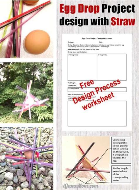 Successful Egg Drop Project Design With Straws With Images Science