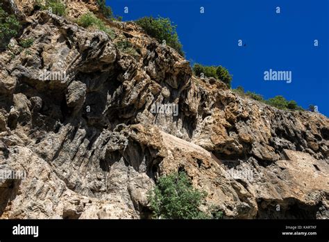 COTIGNAC, PROVENCE VERTE, VAR 83, PACA FRANCE Stock Photo - Alamy