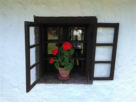 Window Geranium Farmhouse Free Photo On Pixabay Pixabay